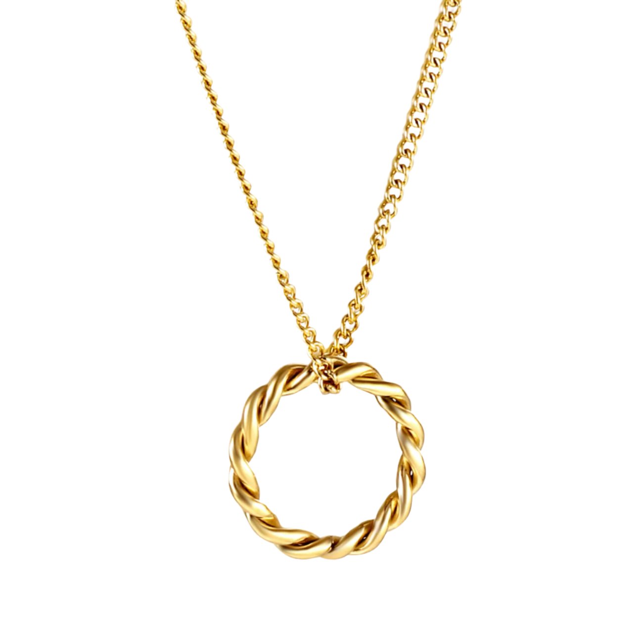 Twisted Circle Necklace
